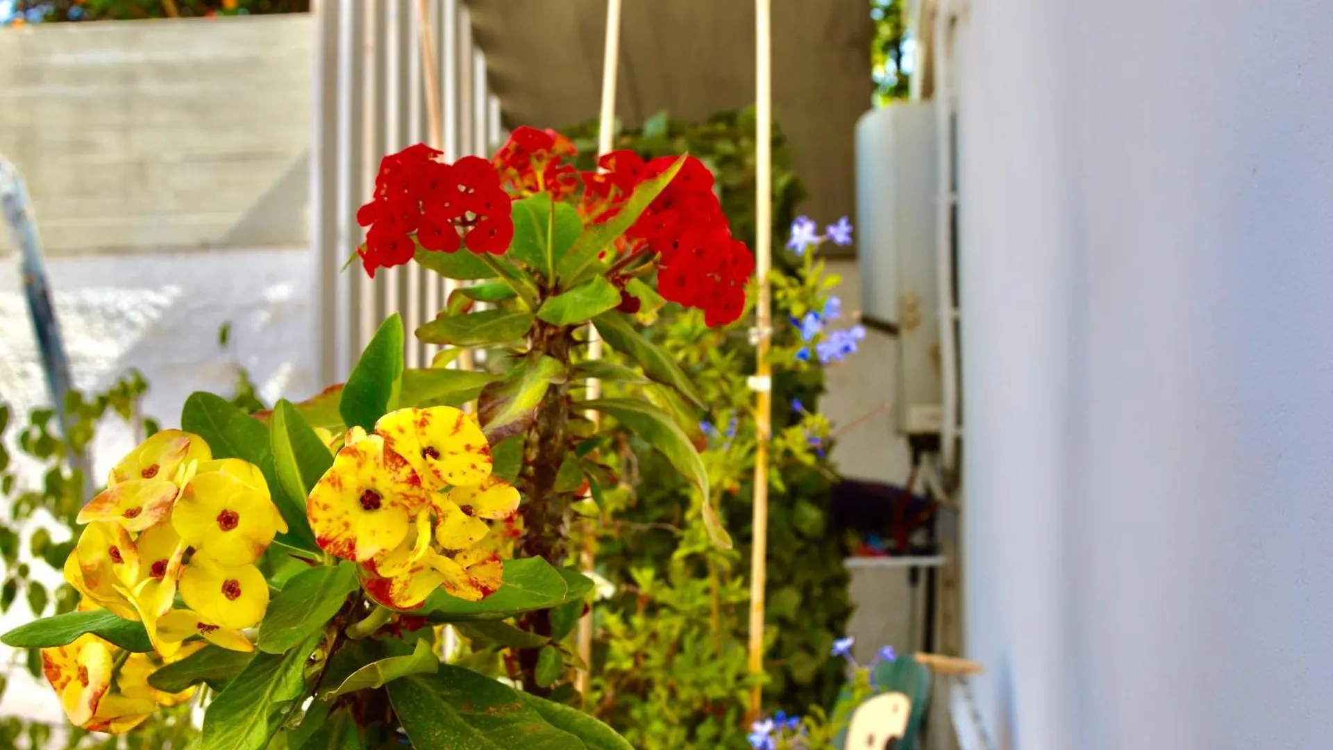 Holiday home Casamia Villa Avola